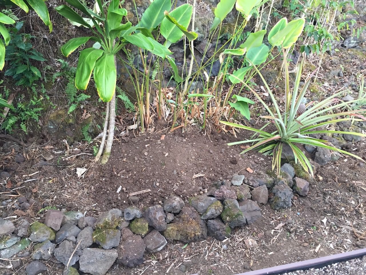 A small hole in the ground with rocks around it